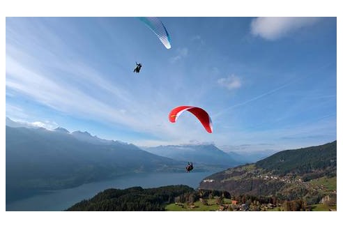 Tandem paragliding online