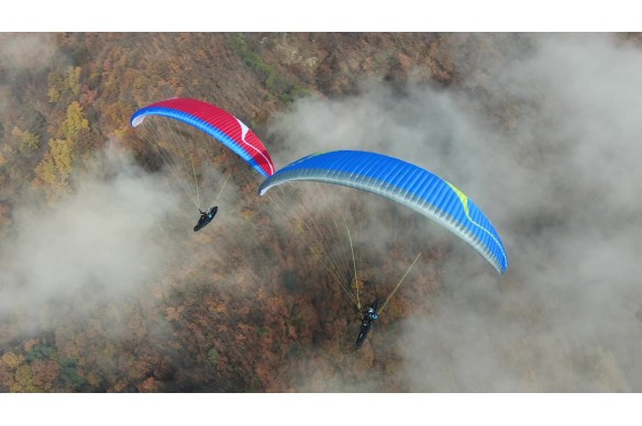 Davinci brand C paraglider
